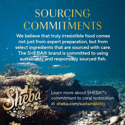 Sheba Perfect Portions Wet Cat Food – Nutritious Pate Meals