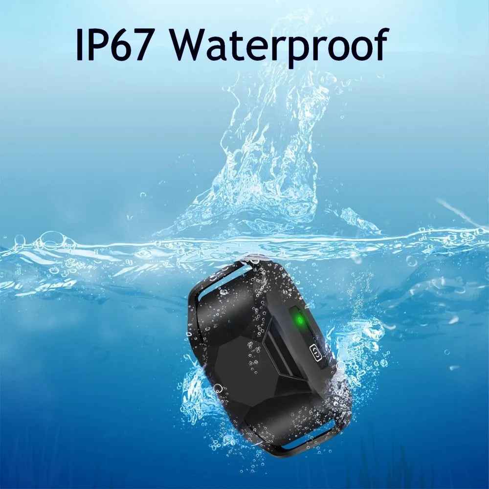 No Shock Dog Training Collar Safe