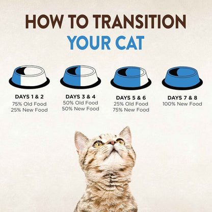 Grain-Free Wet Cat Food with Chicken & Liver - Wellness CORE