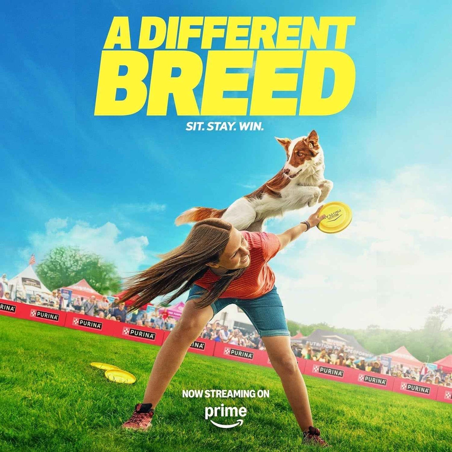 High Protein Dry Dog Food for Active Dogs - Purina Pro Plan Sport