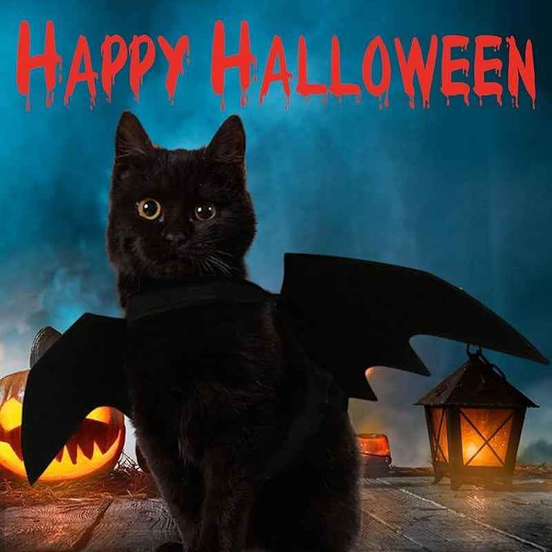 Pet Bat Wings Halloween Costume: Perfect Cat & Puppy