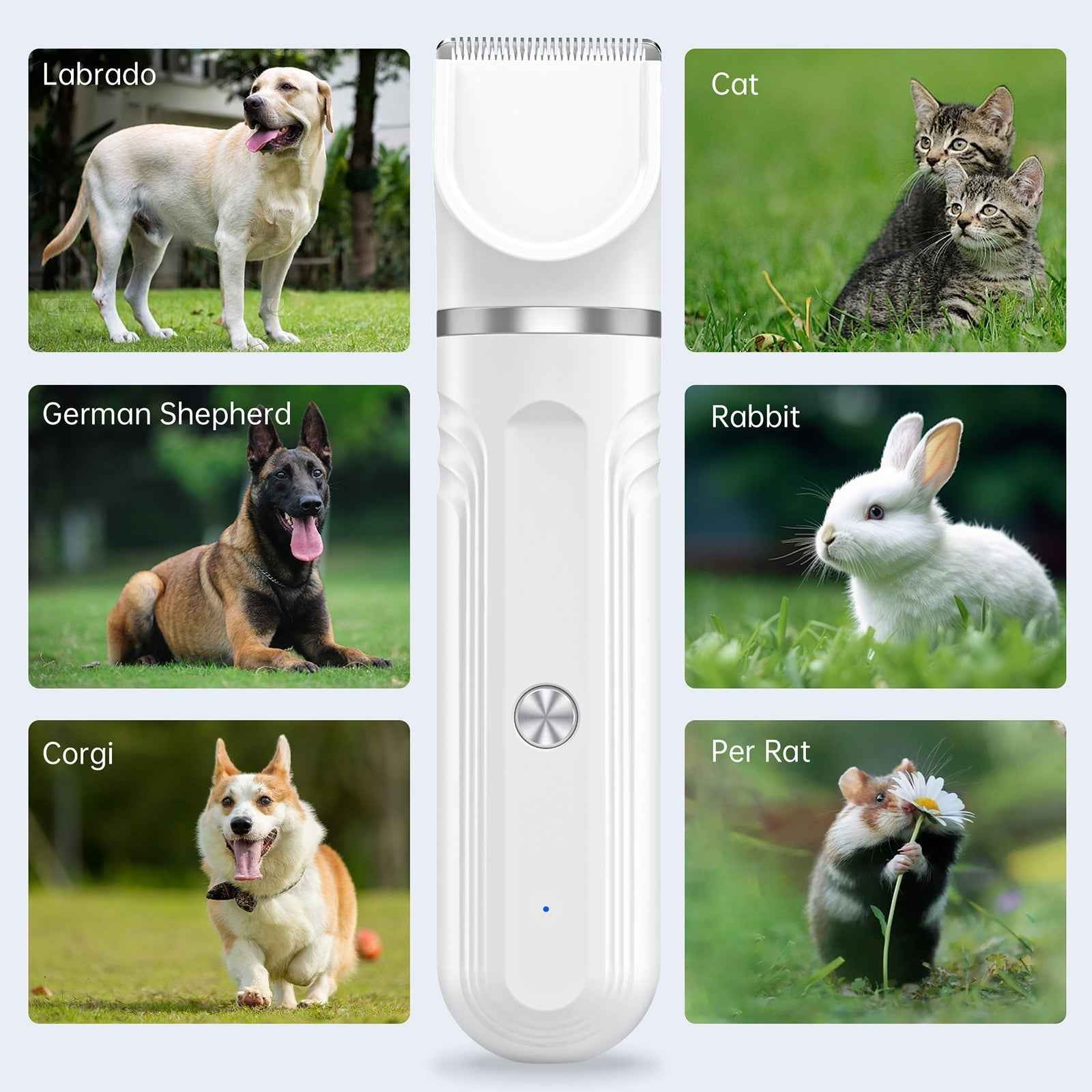 Low Noise Dog Clippers Kit Cordless 4-in-1 Grooming for Pets
