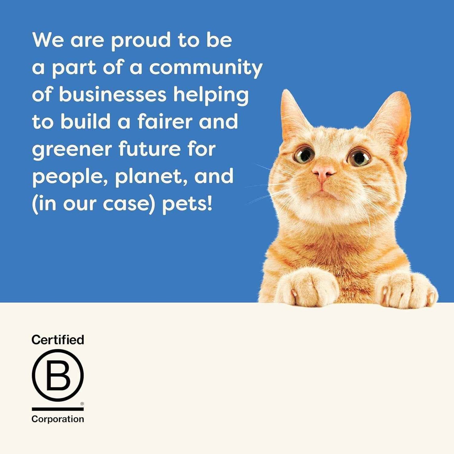 Applaws Tuna Fillet Wet Cat Food - Natural Ingredients, 24