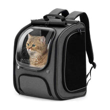 Pecute Cat Backpack Carrier, Large Space Cat Bubble Backpack