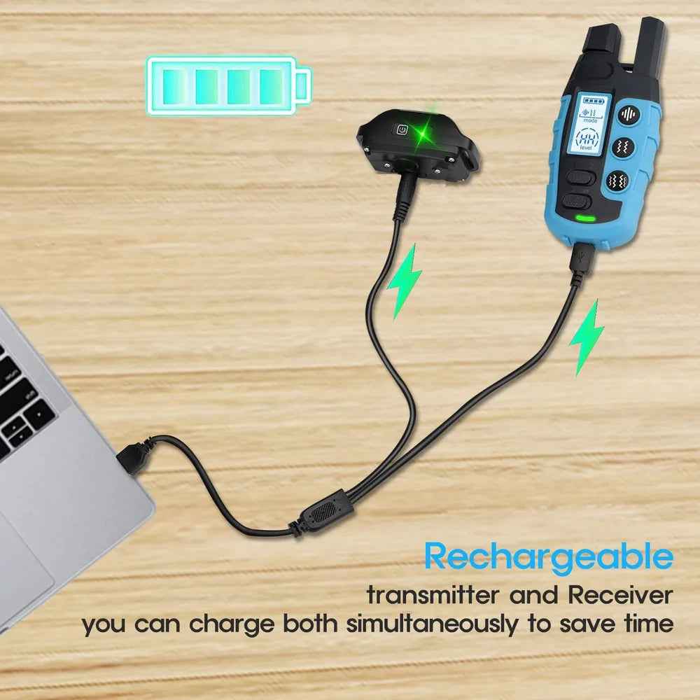 No Shock Dog Training Collar Safe