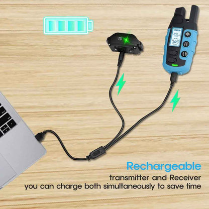 No Shock Dog Training Collar Safe