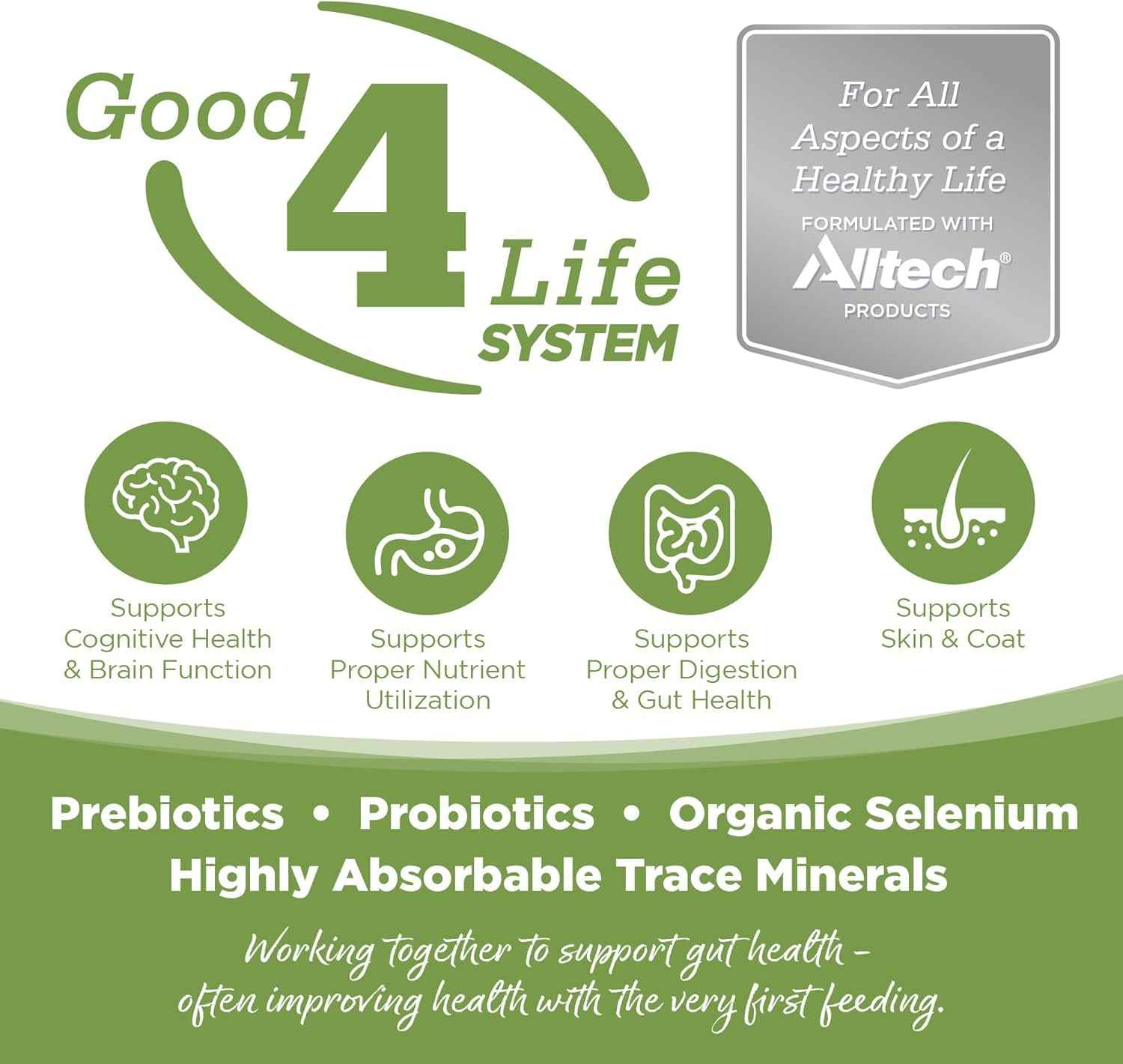 Nutrisource Element Series Coastal Plains Dry Dog Food