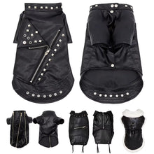 French Bulldog Winter Leather Jacket for Small / Medium Dogs - HuckMB Pet Supply