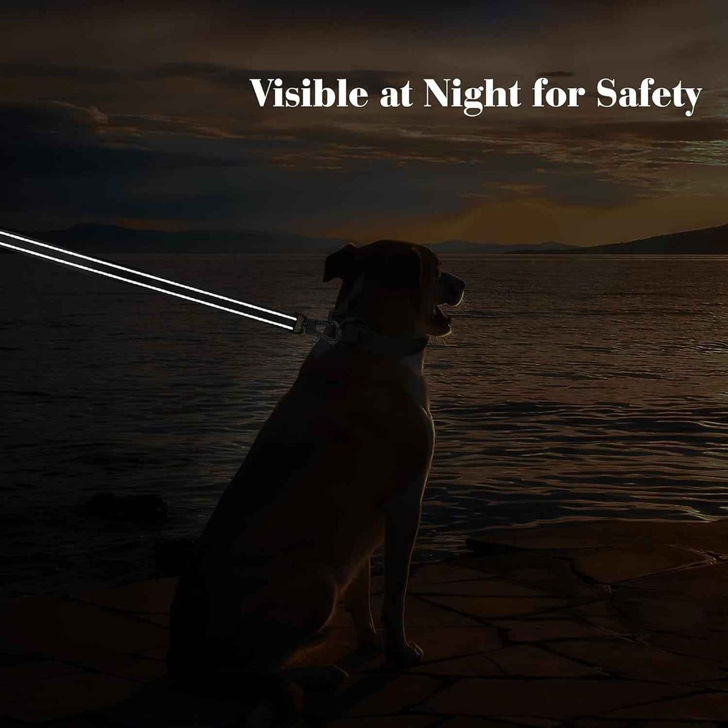 Heavy Duty Reflective Dog Leash: Soft Padded Handles, 4FT