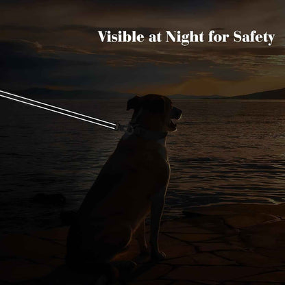 Heavy Duty Reflective Dog Leash: Soft Padded Handles, 4FT