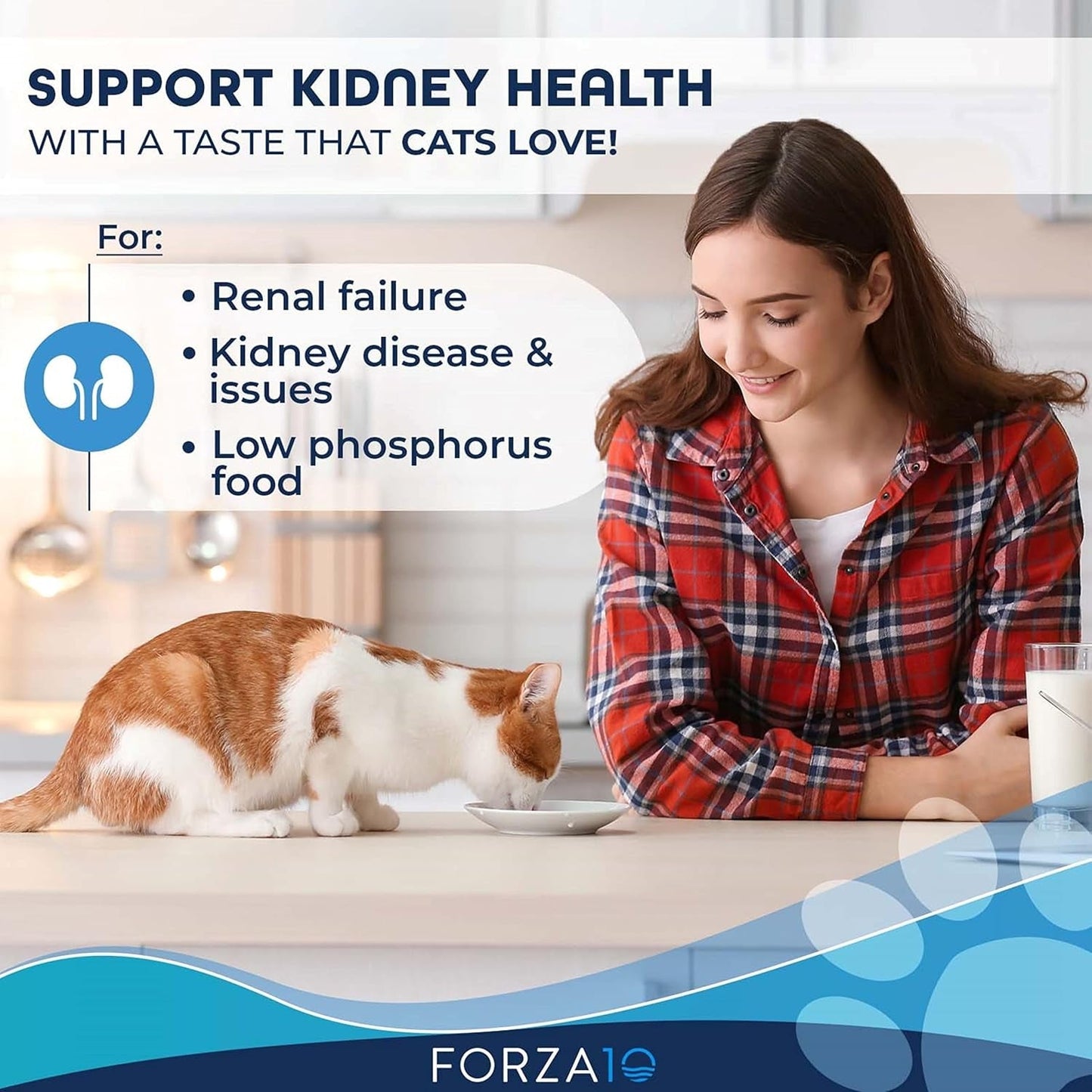 Forza10 Kidney Care Wet Cat Food - Renal Support with Lamb - HuckMB Pet Supply