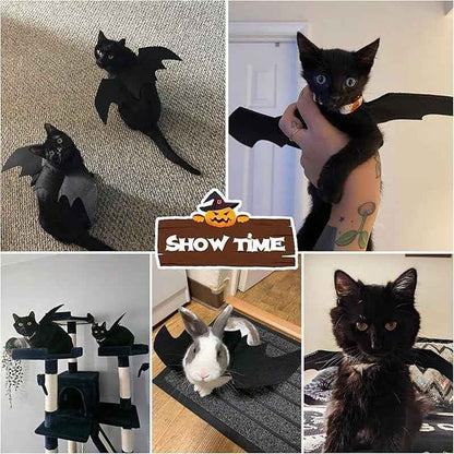 Pet Bat Wings Halloween Costume: Perfect Cat & Puppy