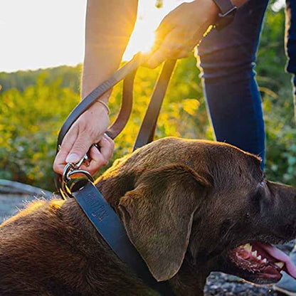 Genuine Leather Dog Leash - Durable, Stylish & All-Size Fit