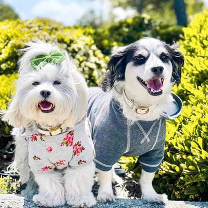 Blueberry Pet Essentials Dog Hoodie – 12 Inch, Cotton‑Blend Sweatshirt with Hood, Charcoal Grey, Machine‑Washable Small‑Dog Jersey