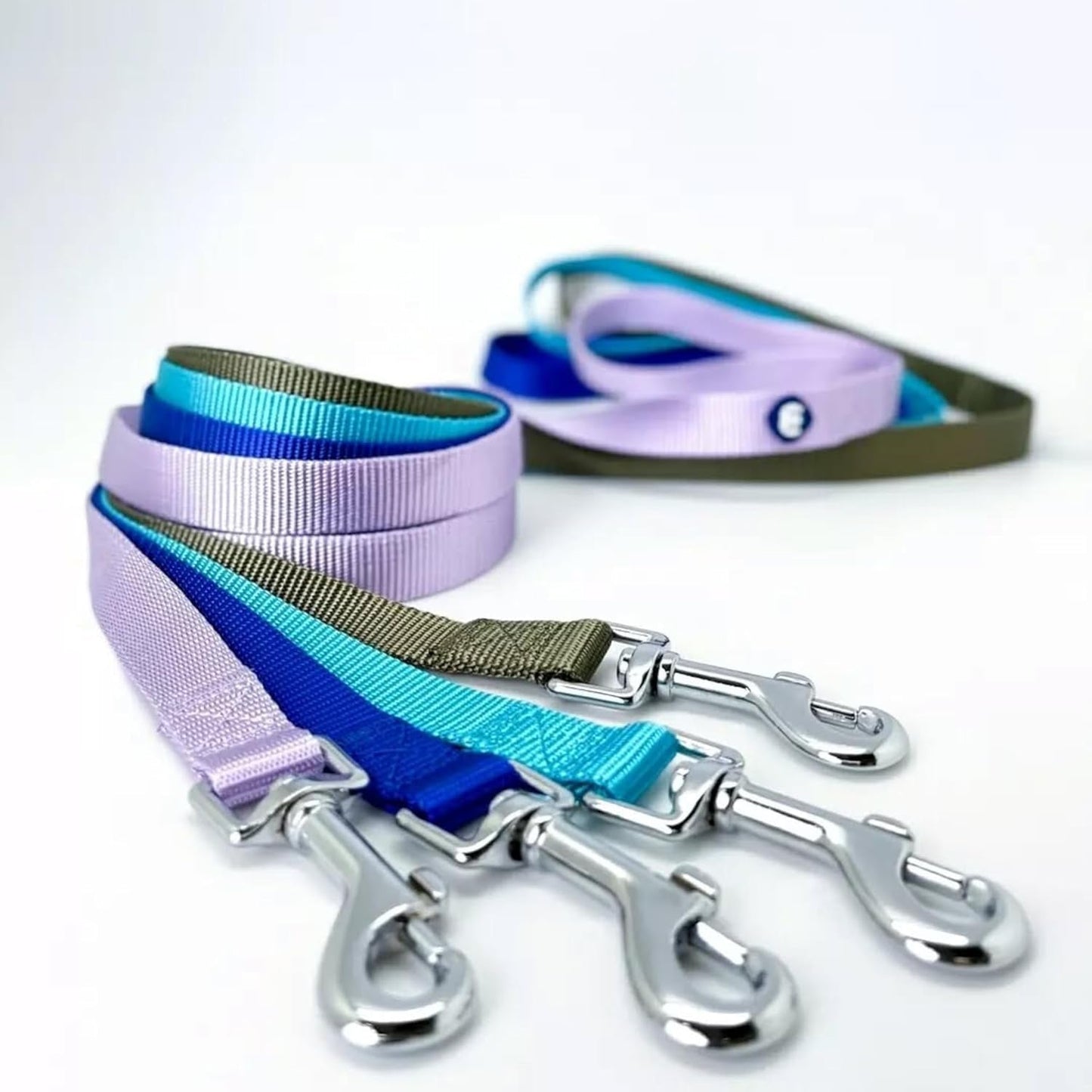 Durable Nylon Violet Dog Leash by Blueberry Pet Essentials - HuckMB Pet Supply