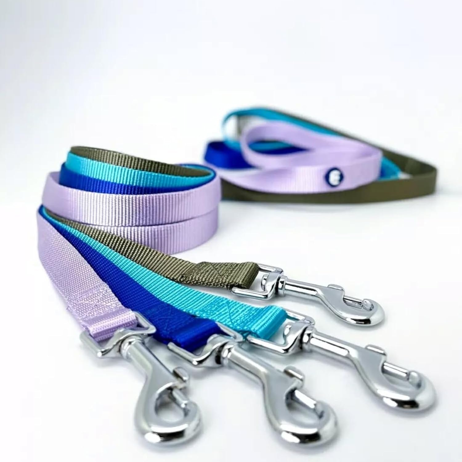 Durable Nylon Violet Dog Leash by Blueberry Pet Essentials - HuckMB Pet Supply