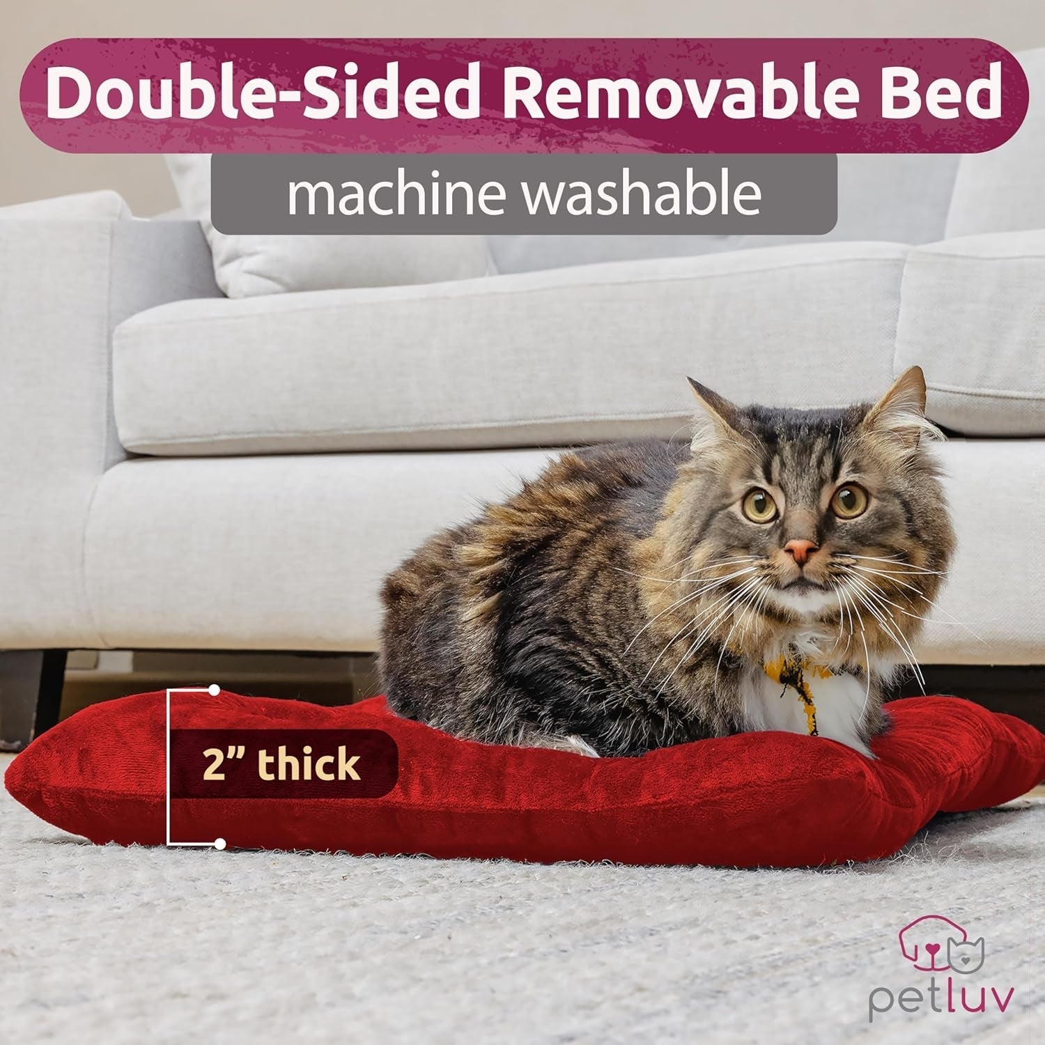 Large Soft-Sided Pet Carrier for Cats & Medium Dogs - Travel - HuckMB Pet Supply