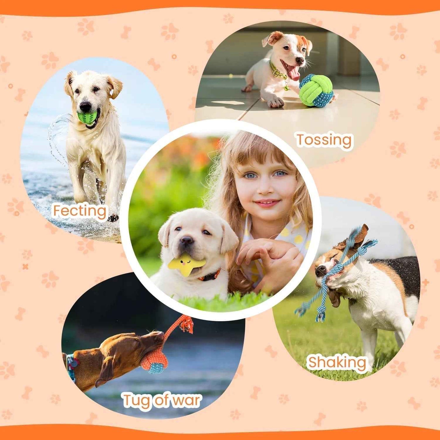 Puppy Teething Chew Toys Set: 10-Pack Squeaky & Rope Toys