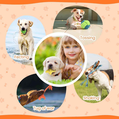 Puppy Teething Chew Toys Set: 10-Pack Squeaky & Rope Toys