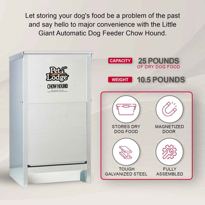 Automatic Steel Dog Food Feeder