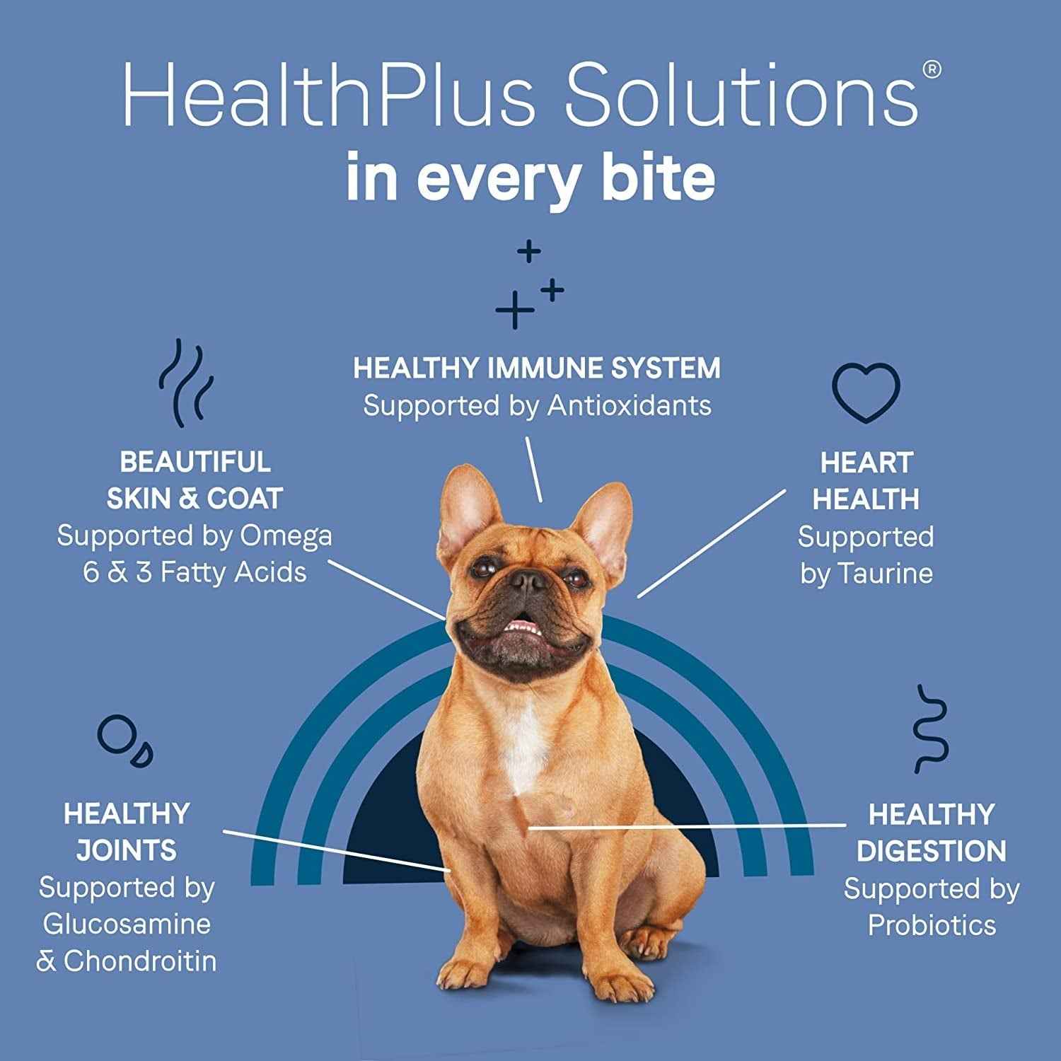 Canidae Pure Petite Salmon Grain-Free Small Breed Dog Food