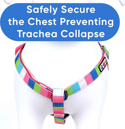 Pawtitas Adjustable Extra Small Dog Harness for Puppies