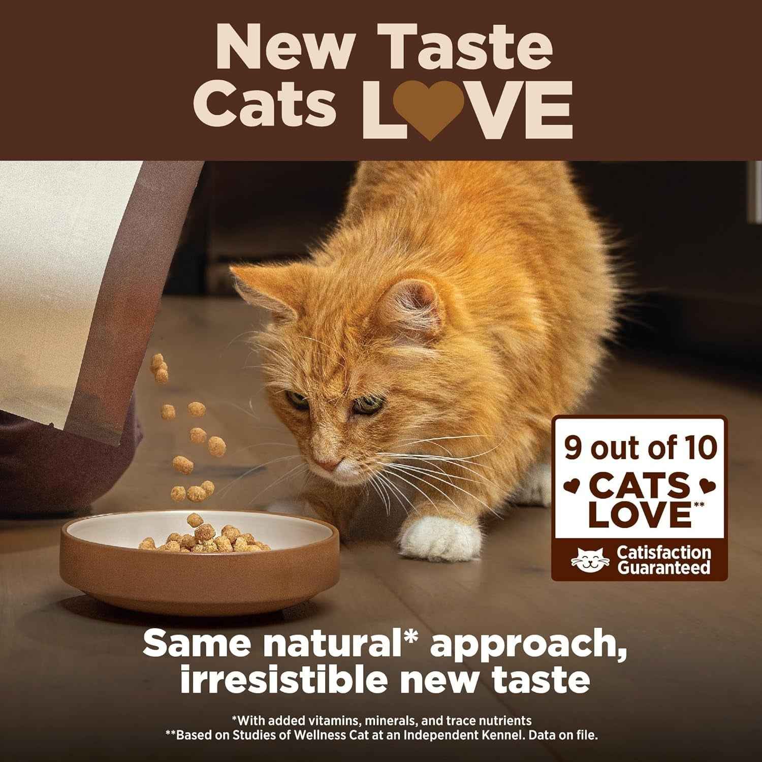 Grain-Free Indoor Cat Food - Wellness CORE+ Dry