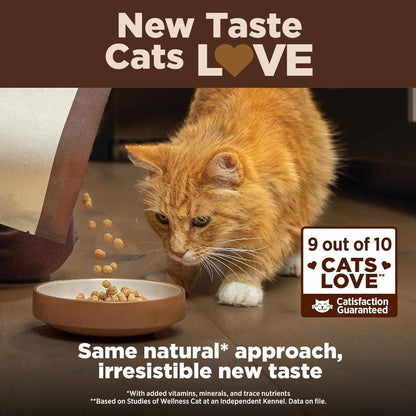 Grain-Free Indoor Cat Food - Wellness CORE+ Dry