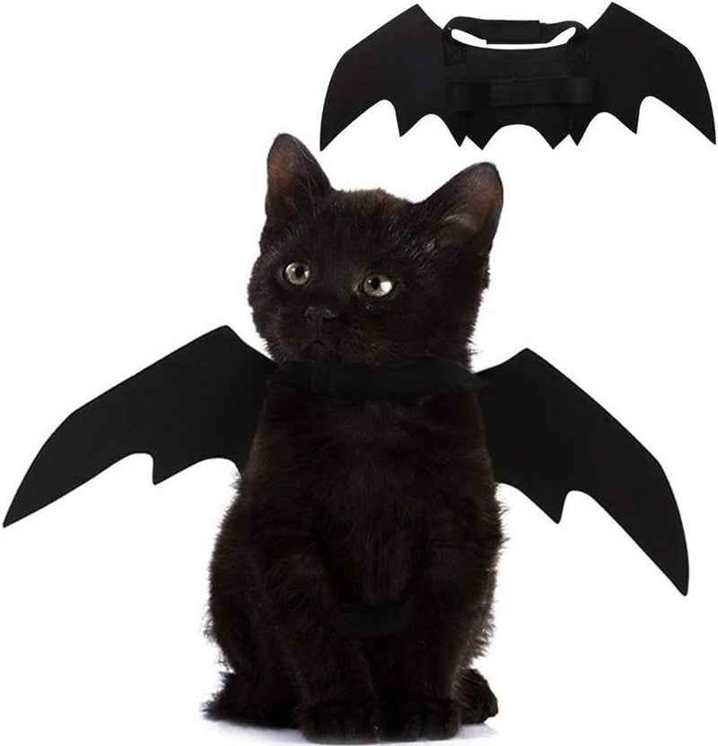 Pet Bat Wings Halloween Costume: Perfect Cat & Puppy