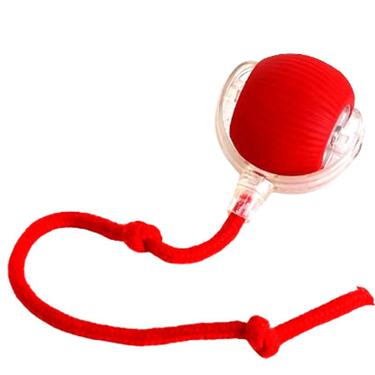 Interactive Pet Rolling Ball Toy