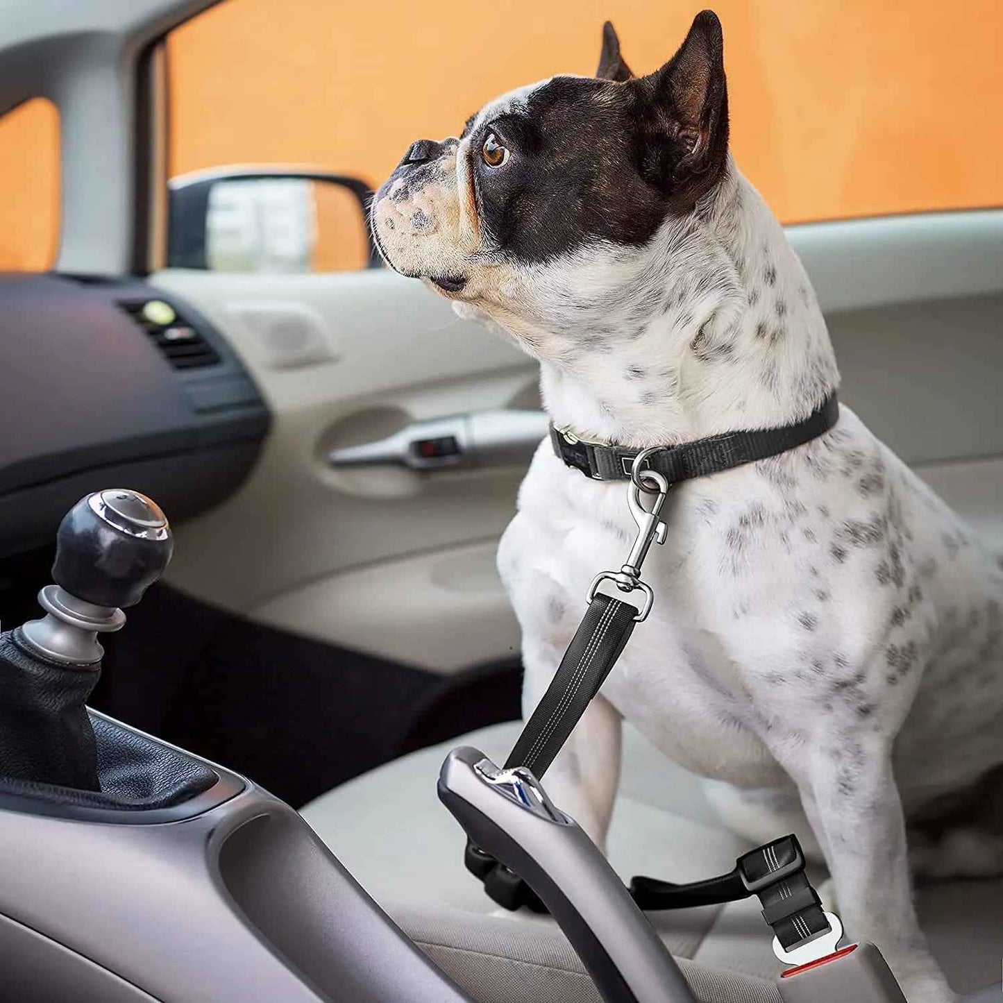 Adjustable Elastic Dog Car Seat Belt for Pet Travel Safety