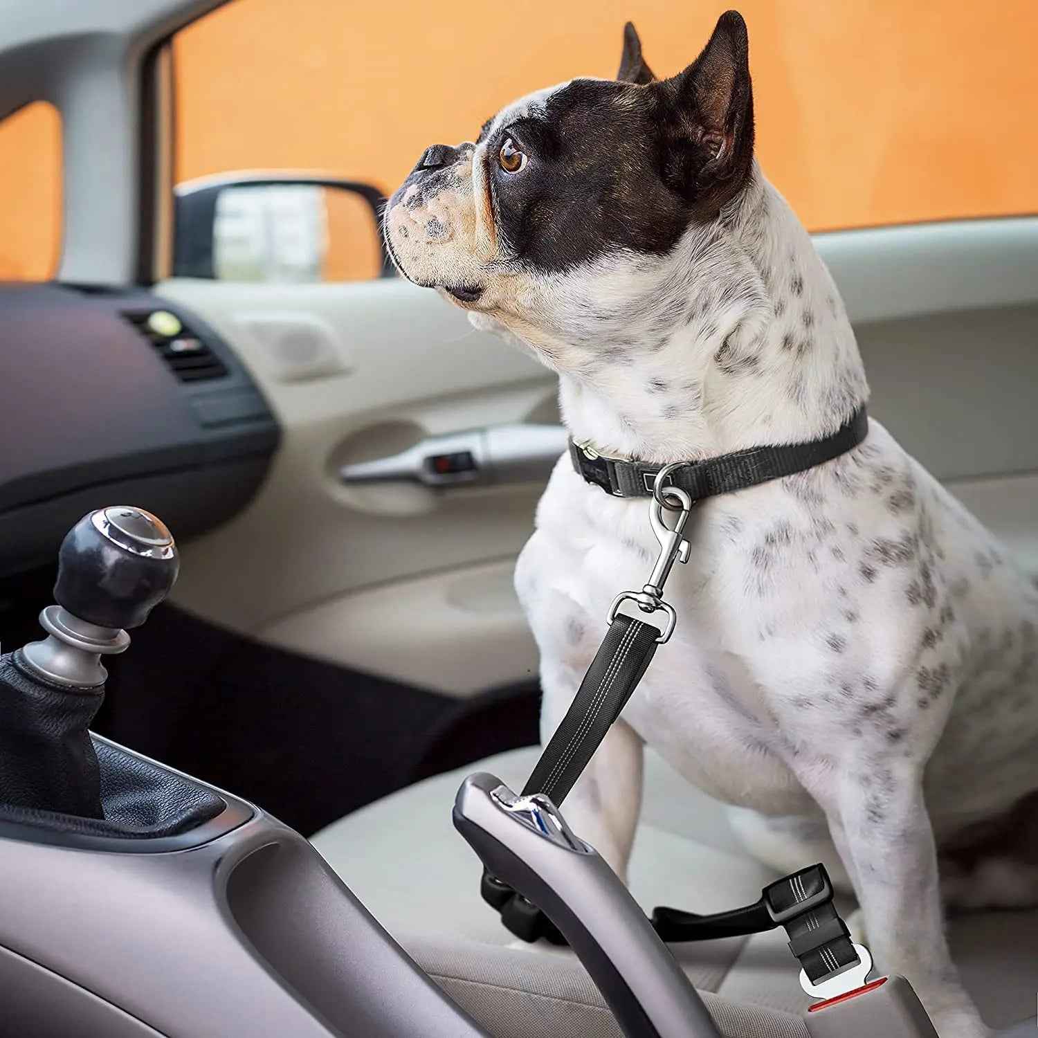Adjustable Elastic Dog Car Seat Belt for Pet Travel Safety