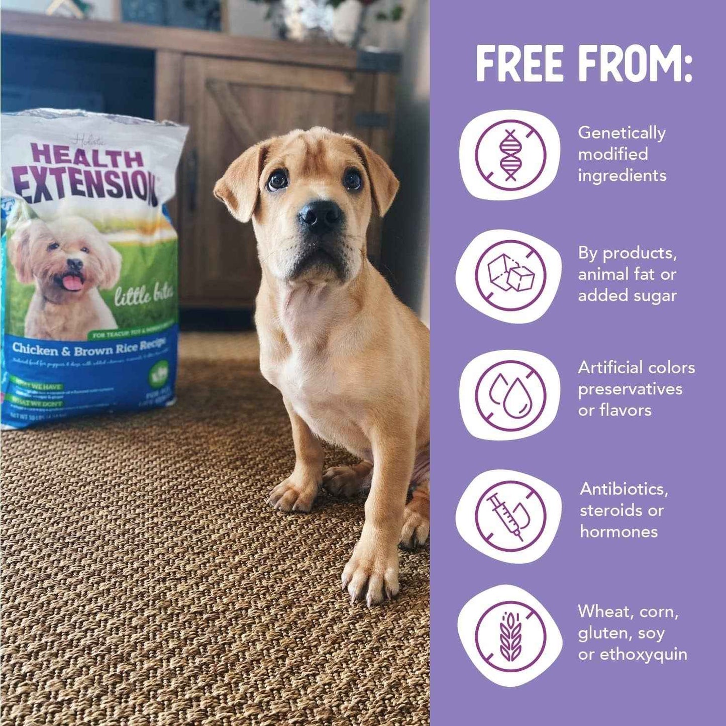 Small Breed Chicken Dog Food With Probiotics & Superfoods