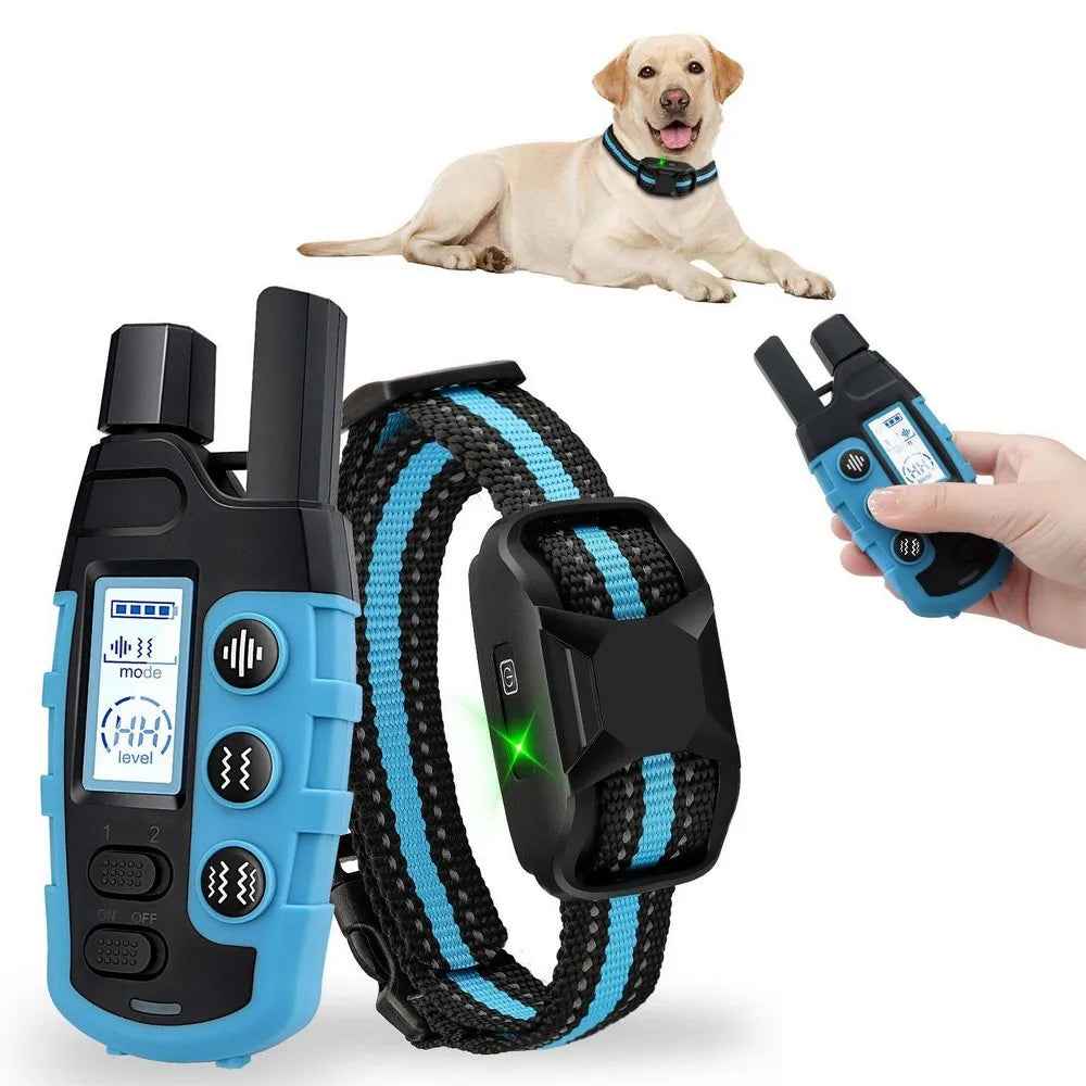 No Shock Dog Training Collar Safe