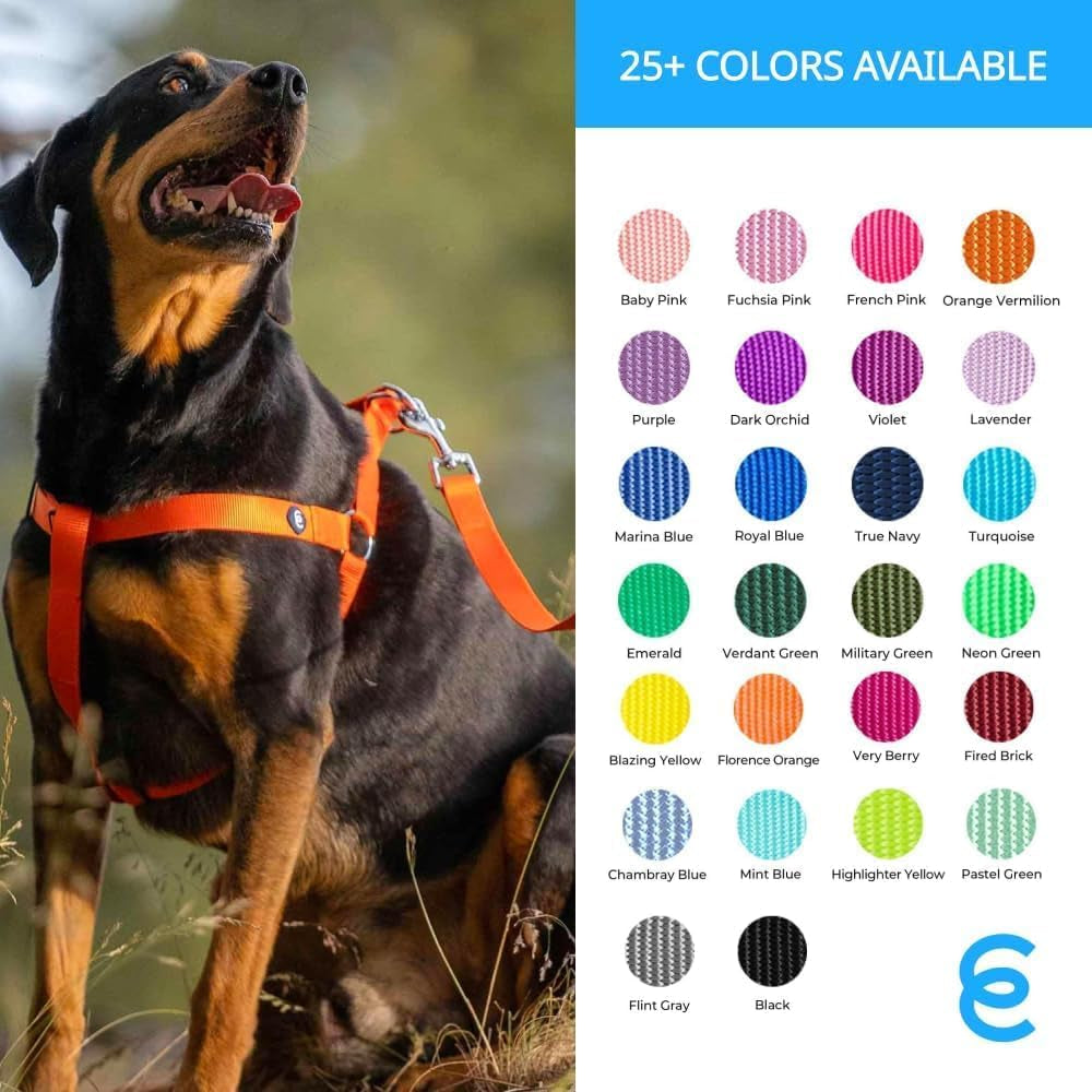 Durable Nylon Violet Dog Leash by Blueberry Pet Essentials - HuckMB Pet Supply