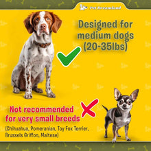 Tangle-Free Dual Dog Leash Coupler for Safe and Smooth Walks