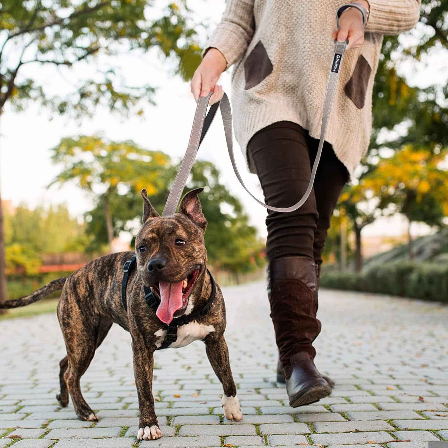 Heavy Duty Reflective Dog Leash: Soft Padded Handles, 4FT