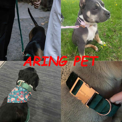 Soft Velvet Dog Collar & Leash Set - Adjustable & Comfy