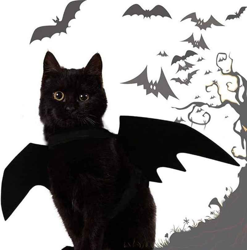 Pet Bat Wings Halloween Costume: Perfect Cat & Puppy