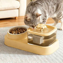 Automatic Cat Feeder and Water Dispenser
