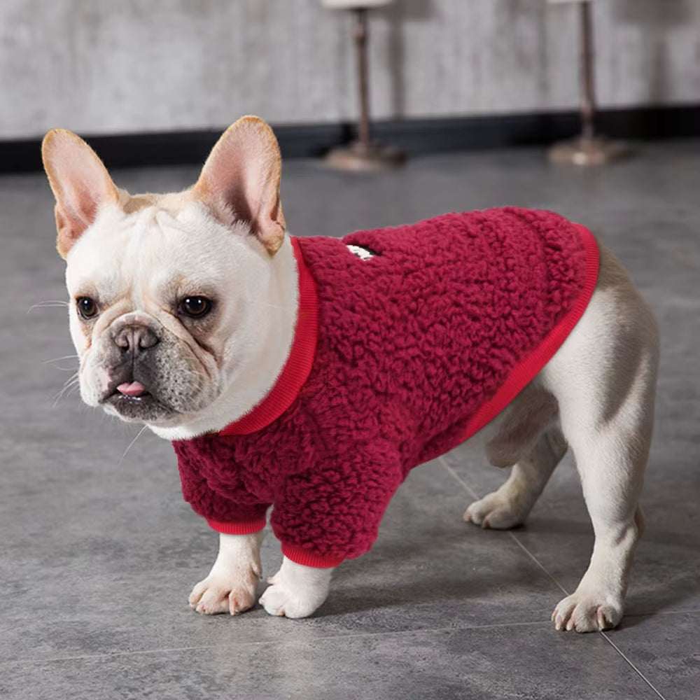 Chihuahua Winter Dog Coat: Cozy Small Dog Jacket for Cold. - HuckMB Pet Supply