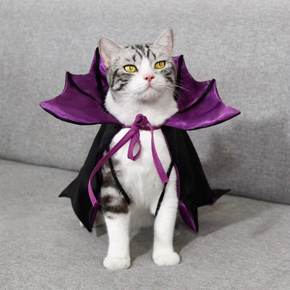 Halloween Pet Costume Cloak Cool Bat Transformation for Cats - HuckMB Pet Supply