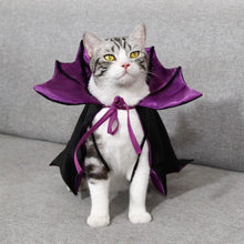 Halloween Pet Costume Cloak Cool Bat Transformation for Cats - HuckMB Pet Supply