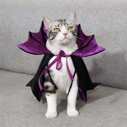 Halloween Pet Costume Cloak Cool Bat Transformation for Cats - HuckMB Pet Supply