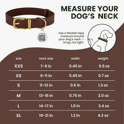BRONZEDOG Leather Collar with QR Tag for Small Dogs & Cats - HuckMB Pet Supply