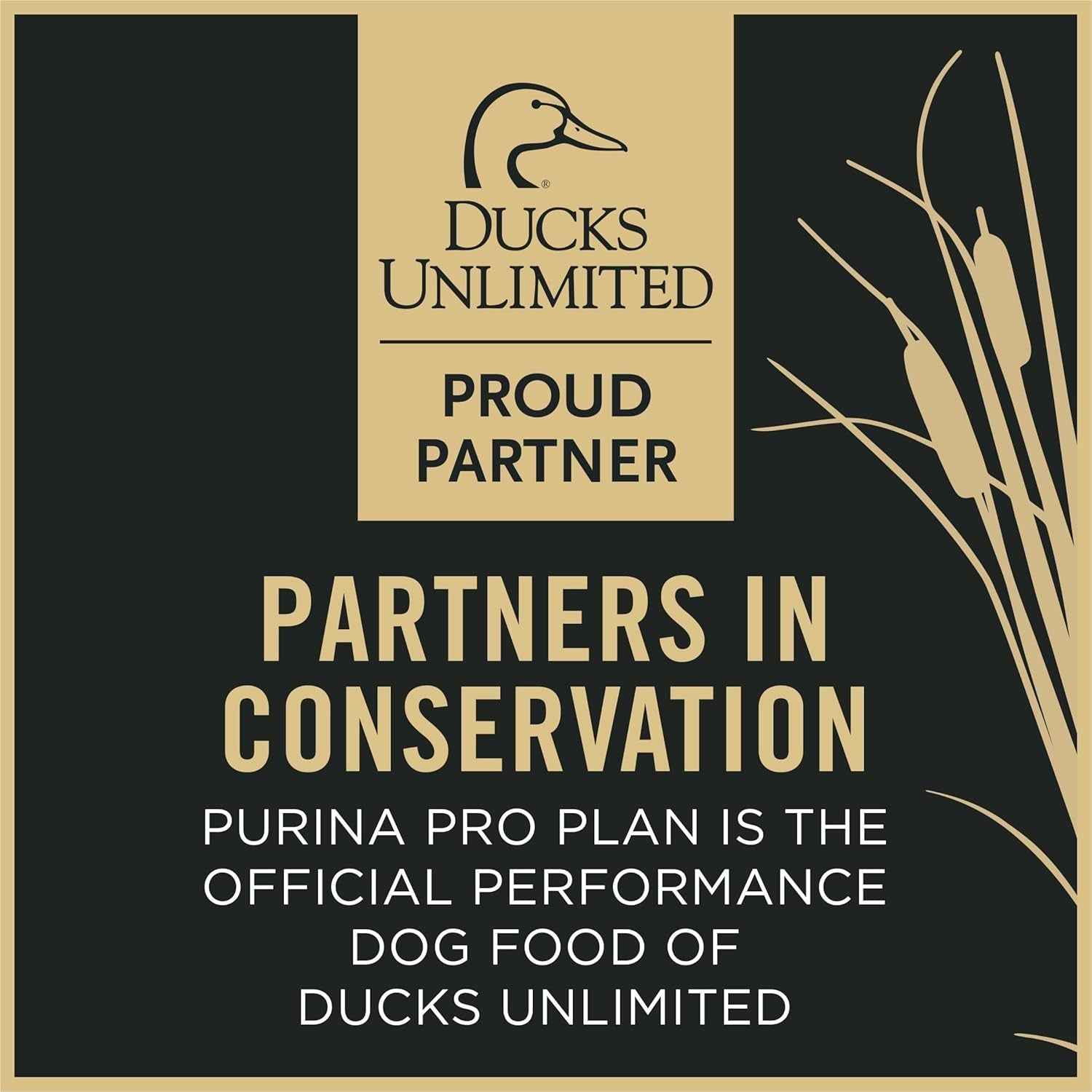 High Protein Dry Dog Food for Active Dogs - Purina Pro Plan Sport