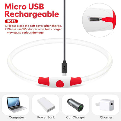 USB Rechargeable LED Dog Collar Light for Night Walks