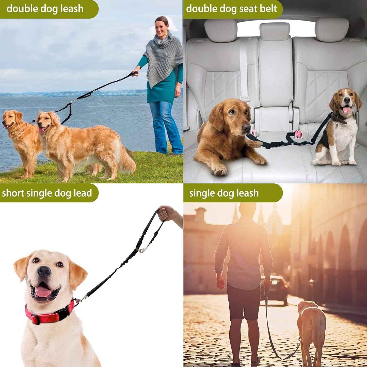 Double 360° No Tangle Dog Leash - Dual Adjustable