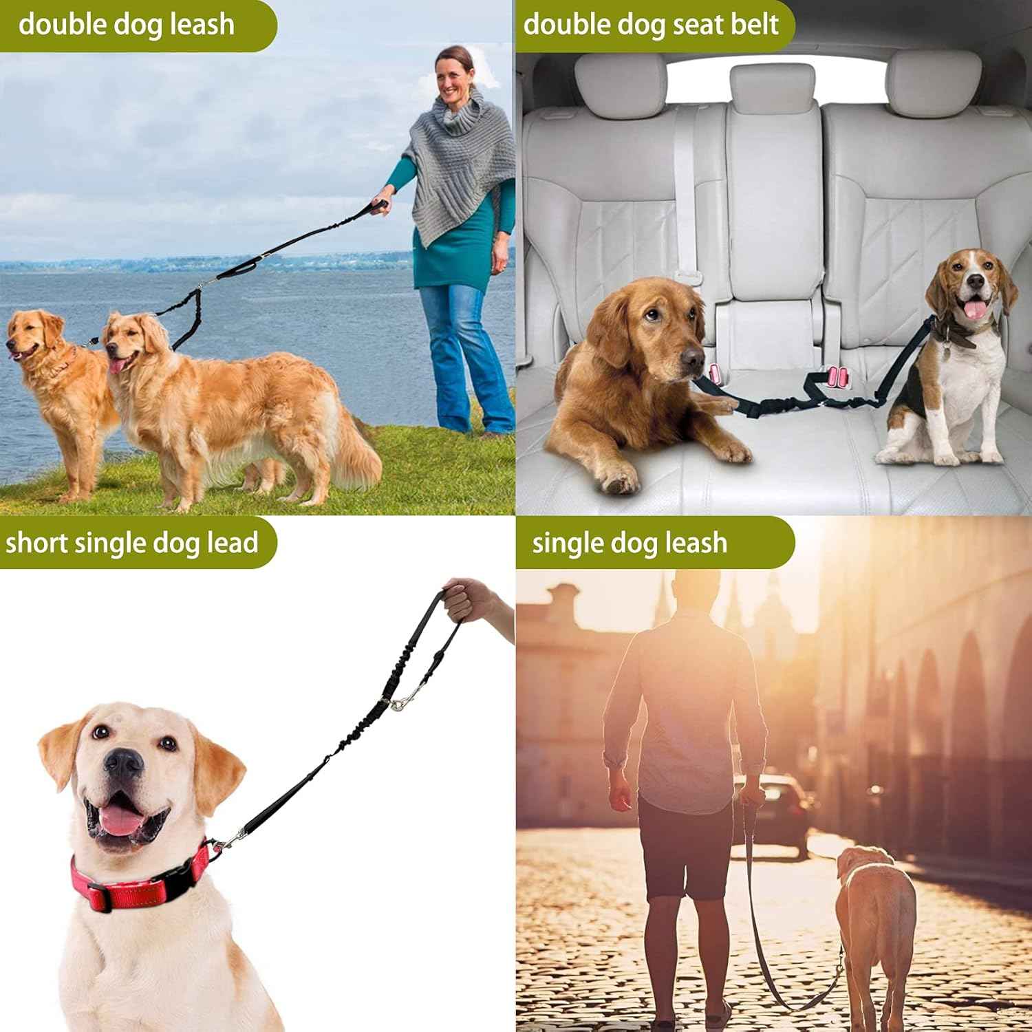 Double 360° No Tangle Dog Leash - Dual Adjustable