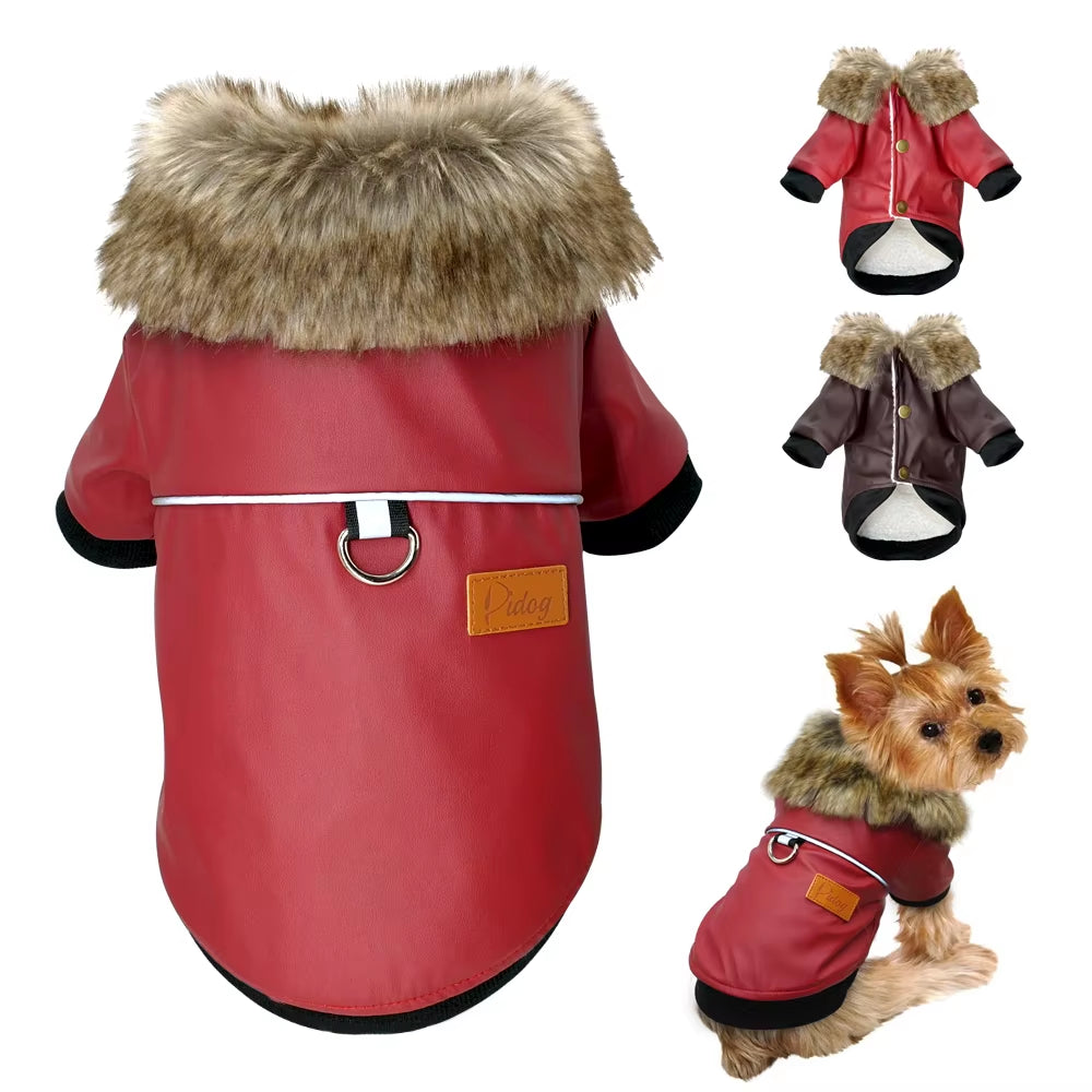 French Bulldog Winter Leather Jacket for Small / Medium Dogs - HuckMB Pet Supply